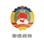 秦淮政协ico