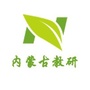 内蒙古教研ico