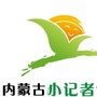 内蒙古小记者ico