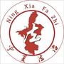 宁夏法治ico