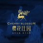 平昌樱花庄园公众号ico