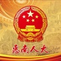 惠南人大ico