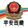 平安西藏ico