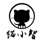 猫小智智能鱼漂ico