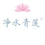 净水青莲ico