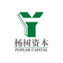 杨树资本集团ico