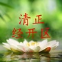 清正经开区ico