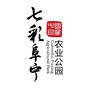七彩阜宁ico