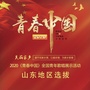 青春中国 山东赛区公众号ico