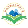 崂山区青山小学ico