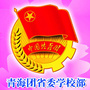 青海省学生联合会公众号ico