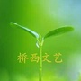 桥西文艺ico