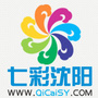 七彩沈阳ico