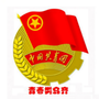 类乌齐县团委ico