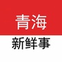 青海新鲜事公众号ico
