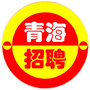 青海招聘ico