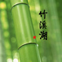 邛崃竹溪湖ico