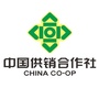 鹤城供销ico