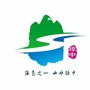 琼中看点ico