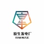 RAW原生发电厂ico