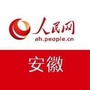 人民网安徽ico