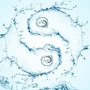 水天茶易ico