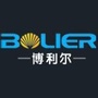 博利尔光影水秀ico
