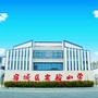宿城实小ico