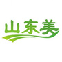 山东美ico