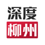 深度柳州ico