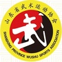 山东省武术运动协会ico