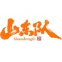 山东队ico