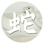 生肖蛇运势天天看ico
