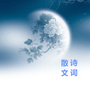 诗词散文世界公众号ico