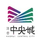 中央城绣林古街ico