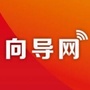 万州向导网公众号ico