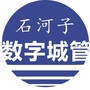 石河子数字城管中心ico