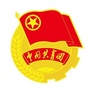 石河子共青团ico