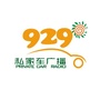 929私家车广播公众号ico