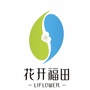 花开福田ico