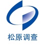 松原调查ico