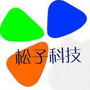 安徽松子电子有限公司ico
