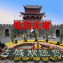 睢阳发布ico