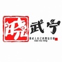 晓武宁ico