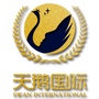 天鹅国际少儿艺术学院ico