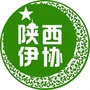 陕西伊协公众号ico