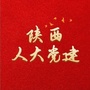 陕西人大党建ico