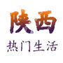陕西热门生活公众号ico