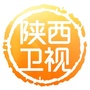 陕西卫视公众号ico