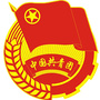 沙依巴克区团委ico
